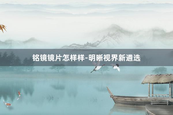 铭镜镜片怎样样-明晰视界新遴选